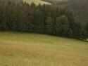 The crash location of 42-32107.  Three crewmen died here; Lt. McManaman, Sgt. Graham and Sgt. Webb.